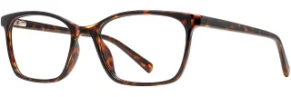 C02 Tortoise