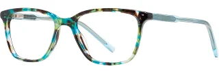 C03 Teal Tortoise