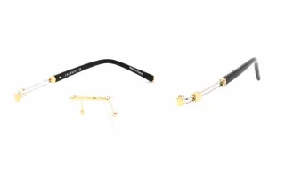 C03 Shiny Gold/Silver