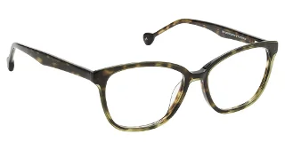Olive Tortoise