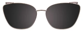Easyclip Eyeglasses EC556