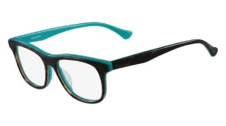 217 Tortoise Green