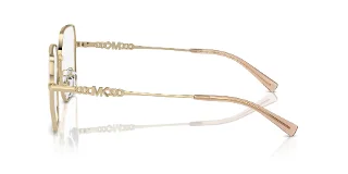 Michael Kors Eyeglasses MK3082D