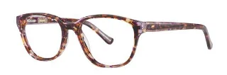Purple Tortoise
