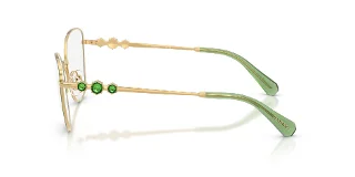Swarovski Eyeglasses SK1034