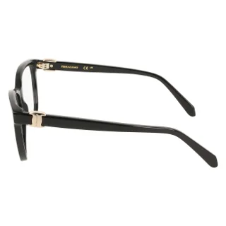 Salvatore Ferragamo Eyeglasses SF3076