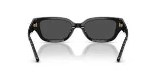Coach Sunglasses HC8439U