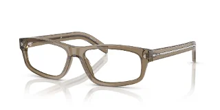 18T1O1 Transparent Brown