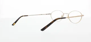 Polo Eyeglasses PP8009
