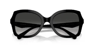 Coach Sunglasses HC8410U
