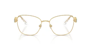 Swarovski Eyeglasses SK1025