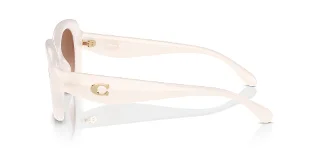 Coach Sunglasses HC8391U