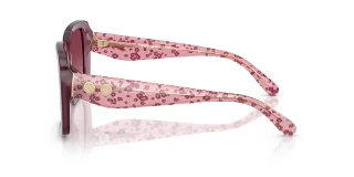 Coach Sunglasses HC8424U
