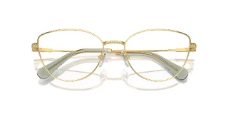 Swarovski Eyeglasses SK1012