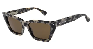 921-Als-5050 Sun Blair Snow Leopard