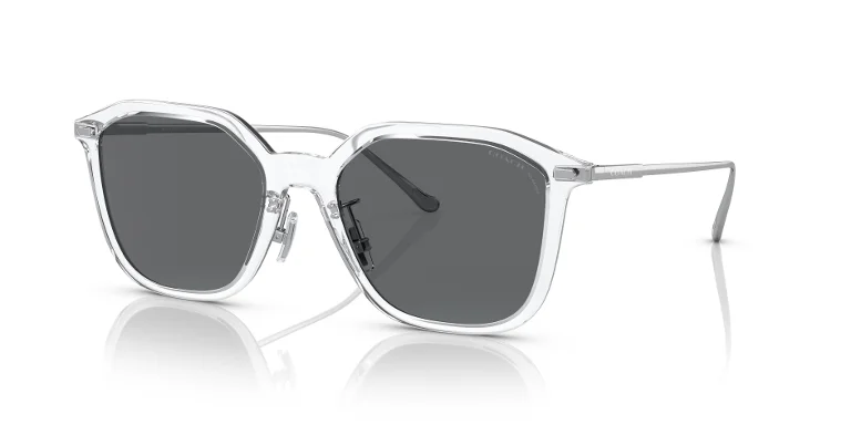 Coach Sunglasses HC8355
