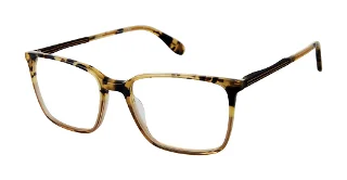 TORT OLIVE