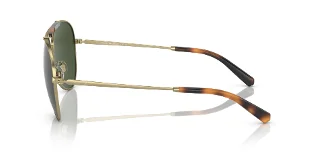 Brooks Brothers Sunglasses BB4062