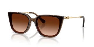108474 Transparent Brown