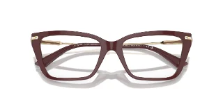 Jimmy Choo Eyeglasses JC3002B
