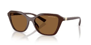 841473 Shiny Brown