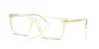 Ralph Lauren Eyeglasses RL6253U