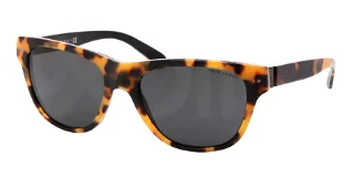 Polo Sunglasses PH4080
