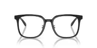 Ray Ban Eyeglasses RX5419D