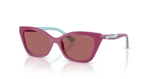321169 Full Purple