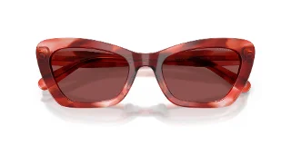 Coach Sunglasses HC8452U