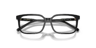 Dolce & Gabbana Eyeglasses DX3003