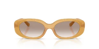 Coach Sunglasses HC8443D
