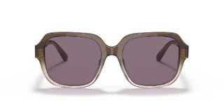 Coach Sunglasses HC8335U
