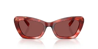 Coach Sunglasses HC8452U
