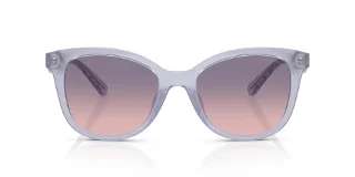 Coach Sunglasses HC8419U
