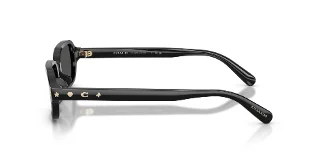 Coach Sunglasses HC8465U