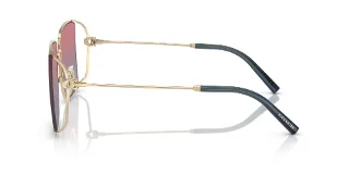 Coach Sunglasses HC7174D