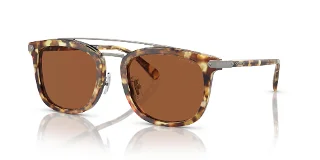 504573 Honey Tortoise