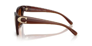 Coach Sunglasses HC8408U