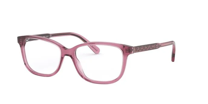 Coach Eyeglasses HC6143