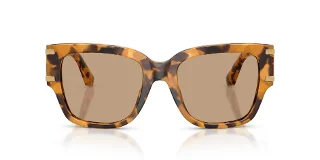 Dolce & Gabbana Sunglasses DG4563
