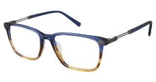 C02 Blue Tortiose