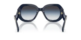 Giorgio Armani Sunglasses AR8248
