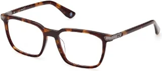 053 Blonde Havana
