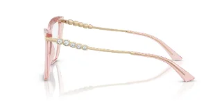 Jimmy Choo Eyeglasses JC3020B