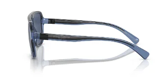 Dolce & Gabbana Sunglasses DG6134