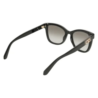 Salvatore Ferragamo Sunglasses SF2108S