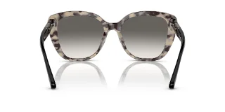 Emporio Armani Sunglasses EA4214U