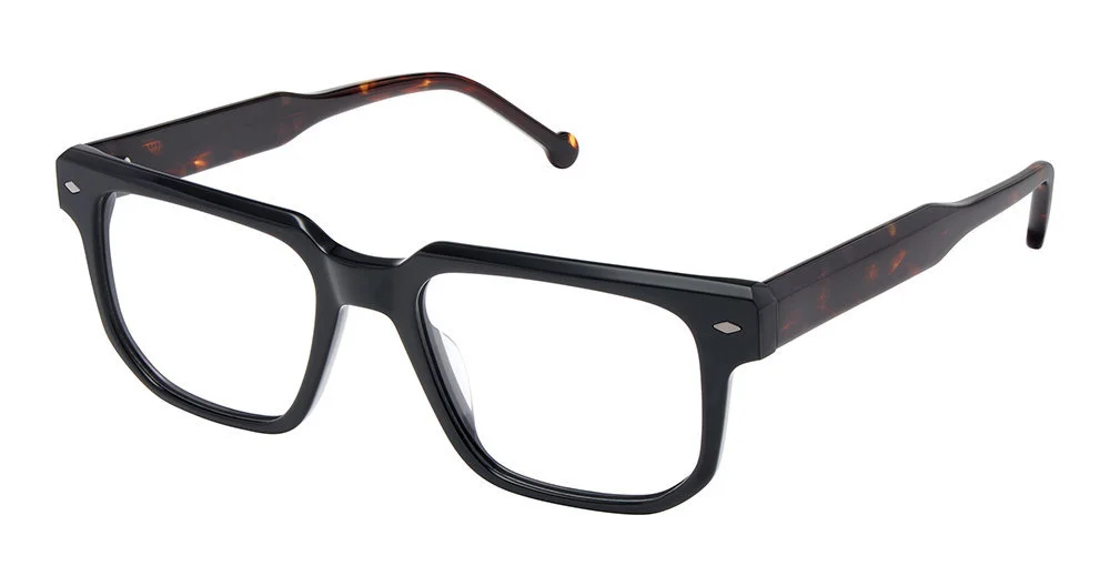 Otp Eyeglasses OTP-231