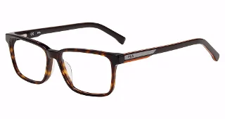 Tortoise (722Y)